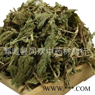 【石上柏】@【同欢药材】中药材批发供应 规格齐全 量大从优  产地 浙江省图3