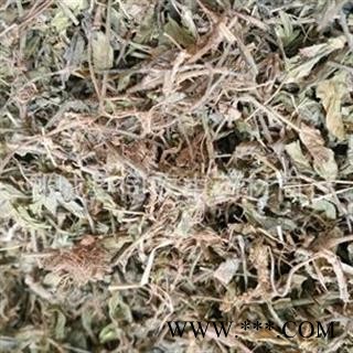 【黄毛耳草】@【同欢药材】中药材批发供应  规格齐全 量大从优 产地 安徽省图2