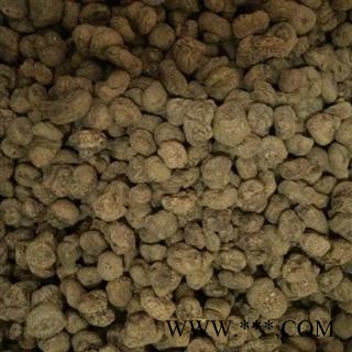 元胡 延胡索（元胡）统货 产地 浙江省图2