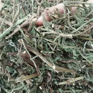 安祁名药正品野生六耳铃 臭灵丹图2