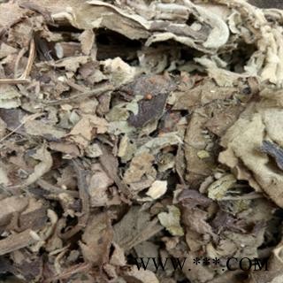 安祁名药艾纳香 大枫草 牛耳枫图2