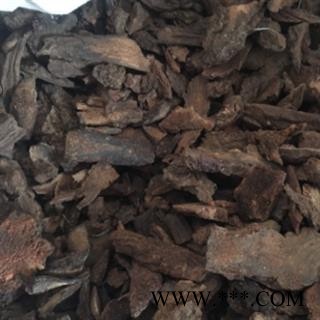 安祁名药锁阳 锁阳片图2