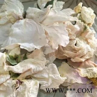 安祁名药优质牡丹花  白牡丹花 正品新货图2