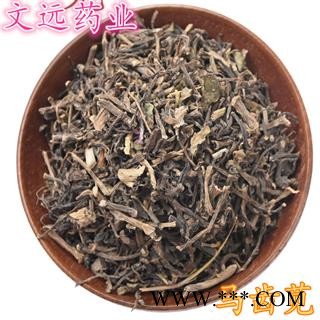 马齿苋 统 水洗过筛 净货 产地 河北省图2