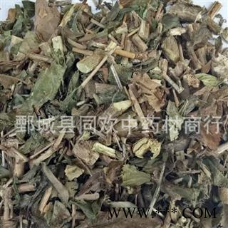 【六月雪 白马骨】@【同欢药材】中药材批发供应  规格齐全 量大从优  产地 四川省图3