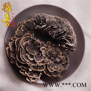 【满包邮】云灵芝 统图2