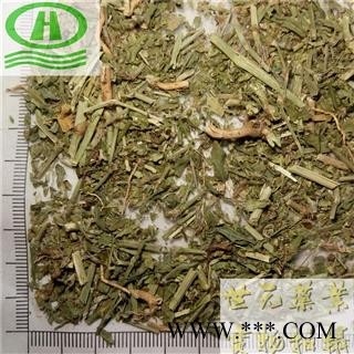 世元药业 萹蓄 正品 扁竹 扁茿 畜辩 扁蔓 扁蓄 地扁蓄 编竹 扁畜 粉节草 道生草 扁竹 扁竹蓼 乌蓼 大蓄片 野铁扫把 路柳 疳积药 斑鸠台 蚂蚁草 猪圈草 桌面草 路边草 七星草 铁片草 竹节图2