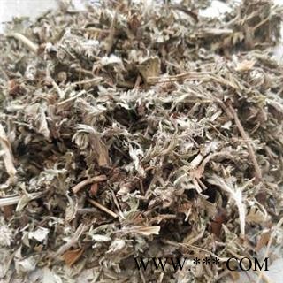 安祁名药正品翻白草  优质新货图2