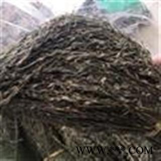 安祁名药独脚柑 独脚金图2