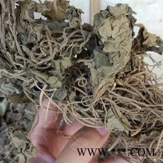 安祁名药野生正品金耳环  土细辛 一块瓦图3