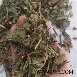 安祁名药正品野生百花丹  一见消图1