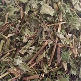 安祁名药正品野生百花丹  一见消图2