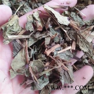 安祁名药鱼腥草 正品新货图2