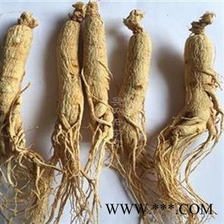 人参 人参 生晒参35支 无硫原皮参 产地 吉林省图2