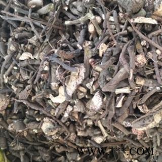 安祁名药正品血党 小罗伞 珍珠盖伞 散血丹图3