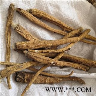 安祁名药藏药雪参  绿绒蒿根图2