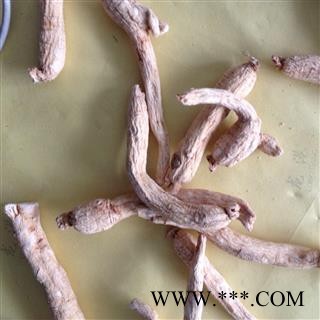 白参 白棒参 生晒参50支 无参须 每支7-8克左右 长支  产地 吉林省图2