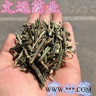 穿心草 穿心莲 好统货.批发各种中药材  产地 河南省南阳市市辖区图3