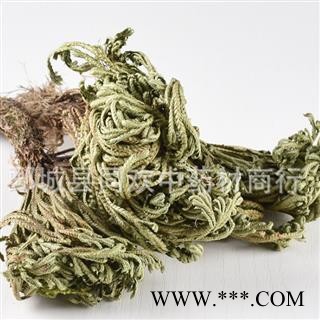 【卷柏 九死还魂草】@【同欢药材】中药材批发供应 规格齐全 量大从优 产地 云南省图3