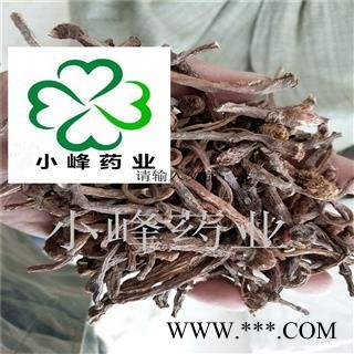 蒲公英 野生蒲公英根 2-3年生 新货 产地 山西省图3