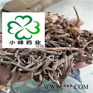 蒲公英 野生蒲公英根 2-3年生 新货 产地 山西省图2