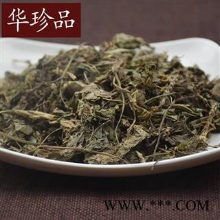 车前草 01 车前草 统 产地 湖南省邵阳市邵阳县图3