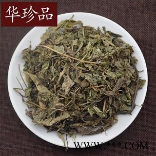 车前草 01 车前草 统 产地 湖南省邵阳市邵阳县图2