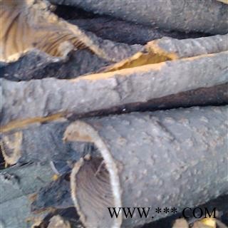 黄柏 统、贵州省 产地 贵州省毕节地区纳雍县图2