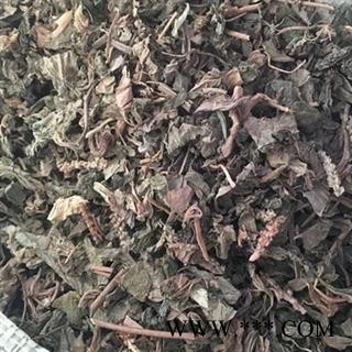 安祁名药车前草  地胆草图2