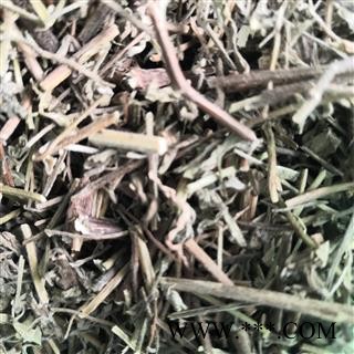 安祁名药正品香薷 香薷草图3