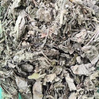 安祁名药中药材寻骨风  清骨风 猫耳朵图2