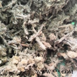 安祁名药正品鼠曲草 佛耳草  清明草图2