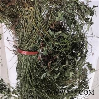 安祁名药岩黄连 干岩胡 岩连   土黄连 菊花黄连图2