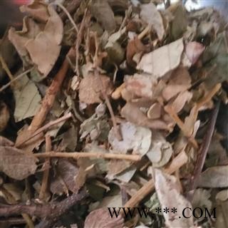 安祁名药正品排钱草 龙鳞草 钱串草图2