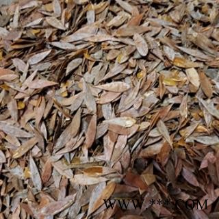 安祁名药正品博落回  三钱三图2