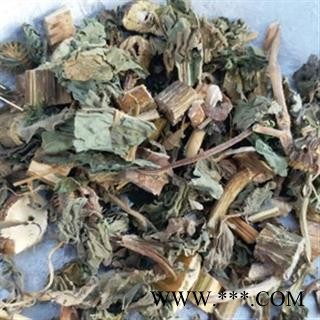 安祁名药正品苍耳草  卷毛子图3