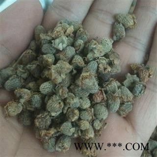 复盆子 覆盆子   产地 四川省图3