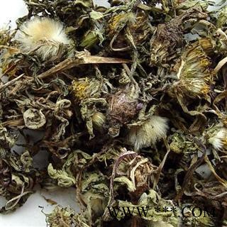 蒲公英 野生蒲公英绿色统货 随着时间颜色也会有变 产地 河南省南阳市宛城区图2