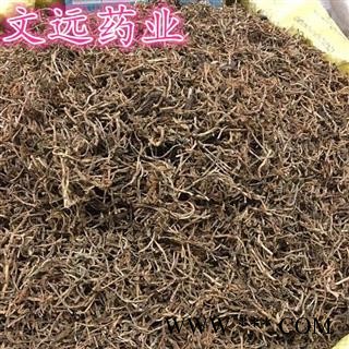 垂盆草 统装 产地 安徽省淮南市市辖区图3