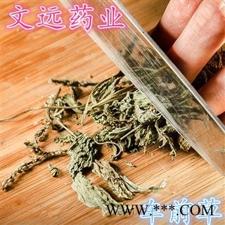 车前草 文远药业 车前草 选 产地 河南省图3
