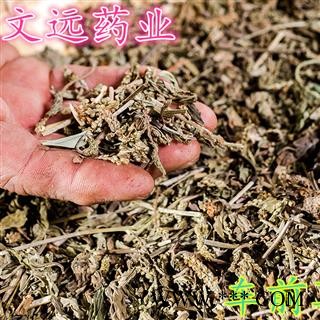车前草 文远药业 车前草 选 产地 河南省图2