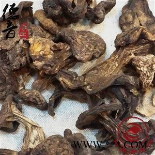 【满包邮】虎掌菌 产地 四川省甘孜 买好货 选德音 正品溯源 规范标准 三证齐全 全品类药材一站购齐图3