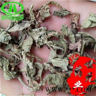 世元药业 车前草 正品 车轱辘菜 牛舌菜 地胆草图2