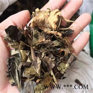 安祁名药肿节风 观音茶 药王茶图2