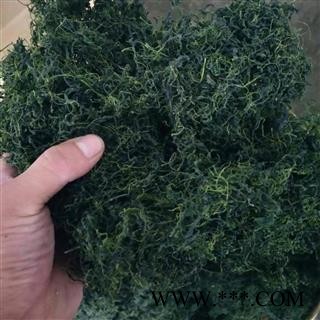 安祁名药绞股蓝 绞股兰图2