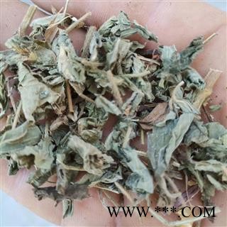 安祁名药仙鹤草 龙牙草  瓜香草 老鹳草图3