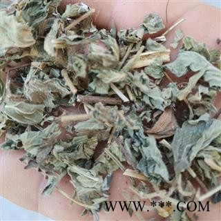 安祁名药仙鹤草 龙牙草  瓜香草 老鹳草图2