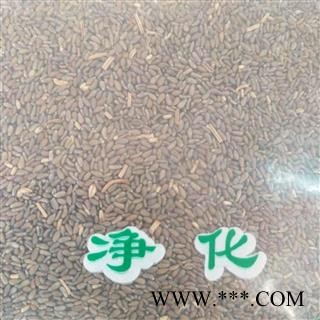 安祁名药正品中药材 青蒿  沙蒿子 新疆野生沙蒿籽图3