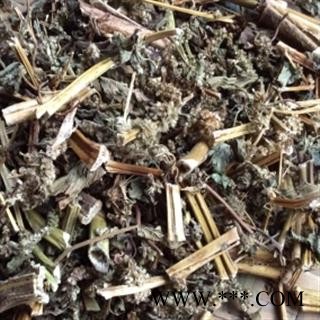 安祁名药 正品苋菜  铁苋菜图2