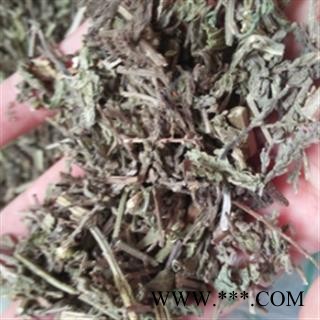 安祁名药正品马鞭草 野生正品图3